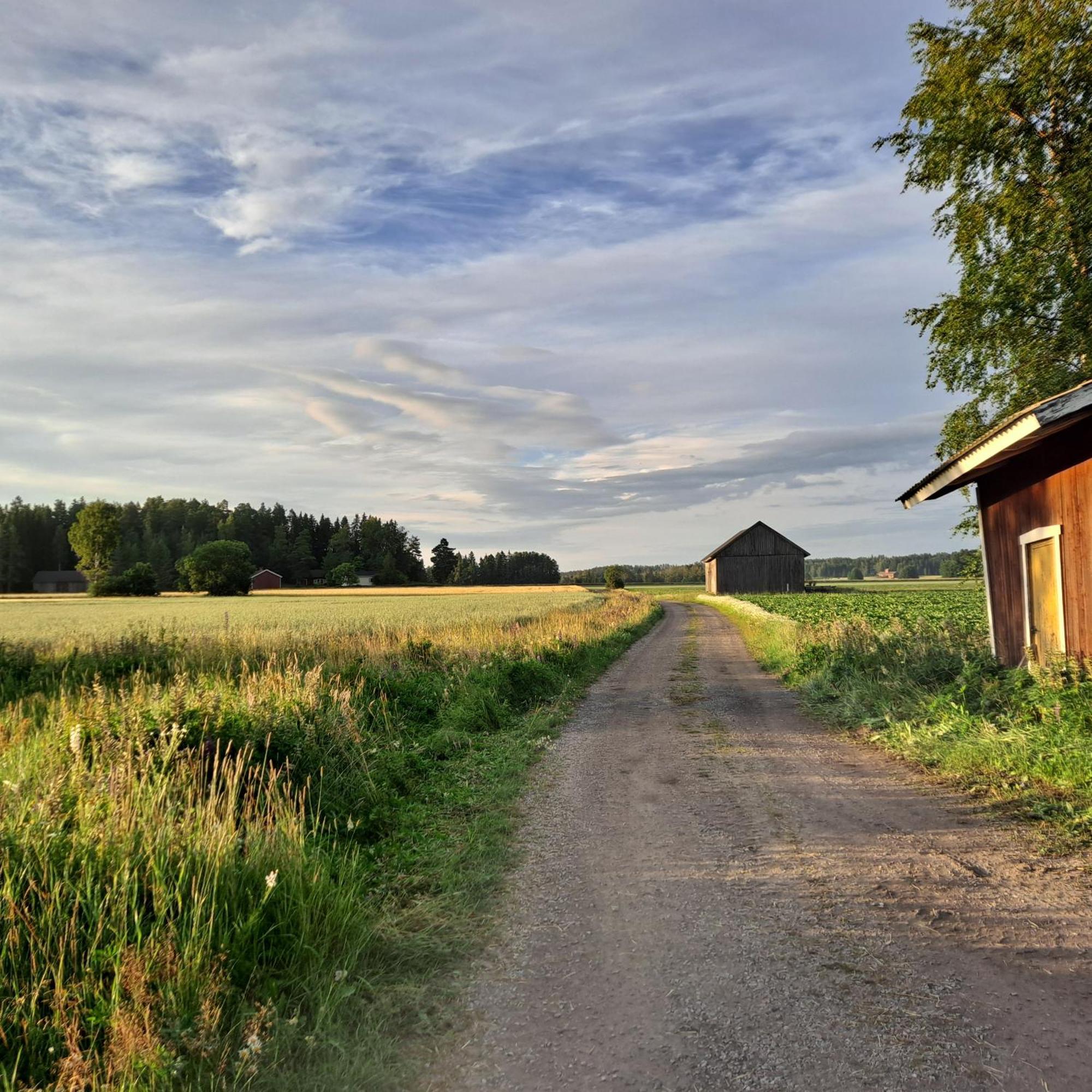 Levomaeki Farm Cottages Ypaja Екстер'єр фото