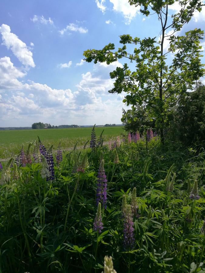 Levomaeki Farm Cottages Ypaja Екстер'єр фото